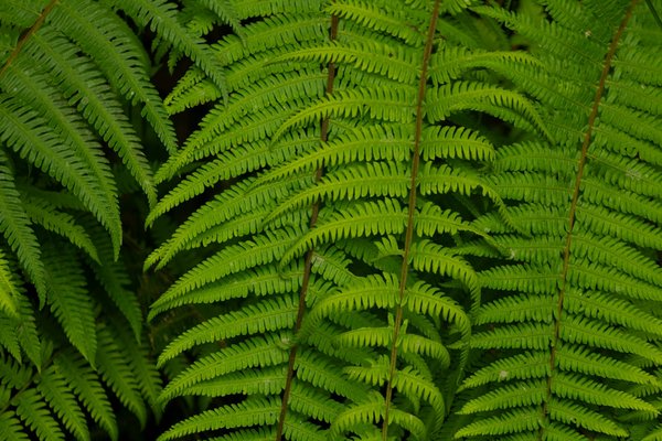 L'Art de la Sculpture à Travers les Âges : Une Exploration de l'Antiquité à la Modernité