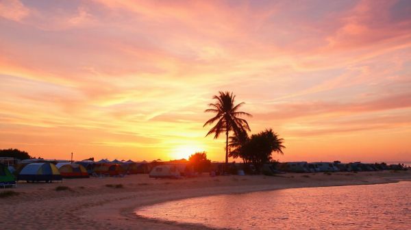 Top services offerts par les campings au Grau du Roi